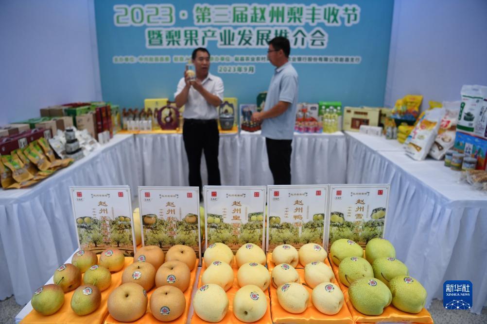 首存8送88彩金网站